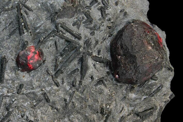 Plate of Two Red Embers Garnet in Graphite - Massachusetts #127815